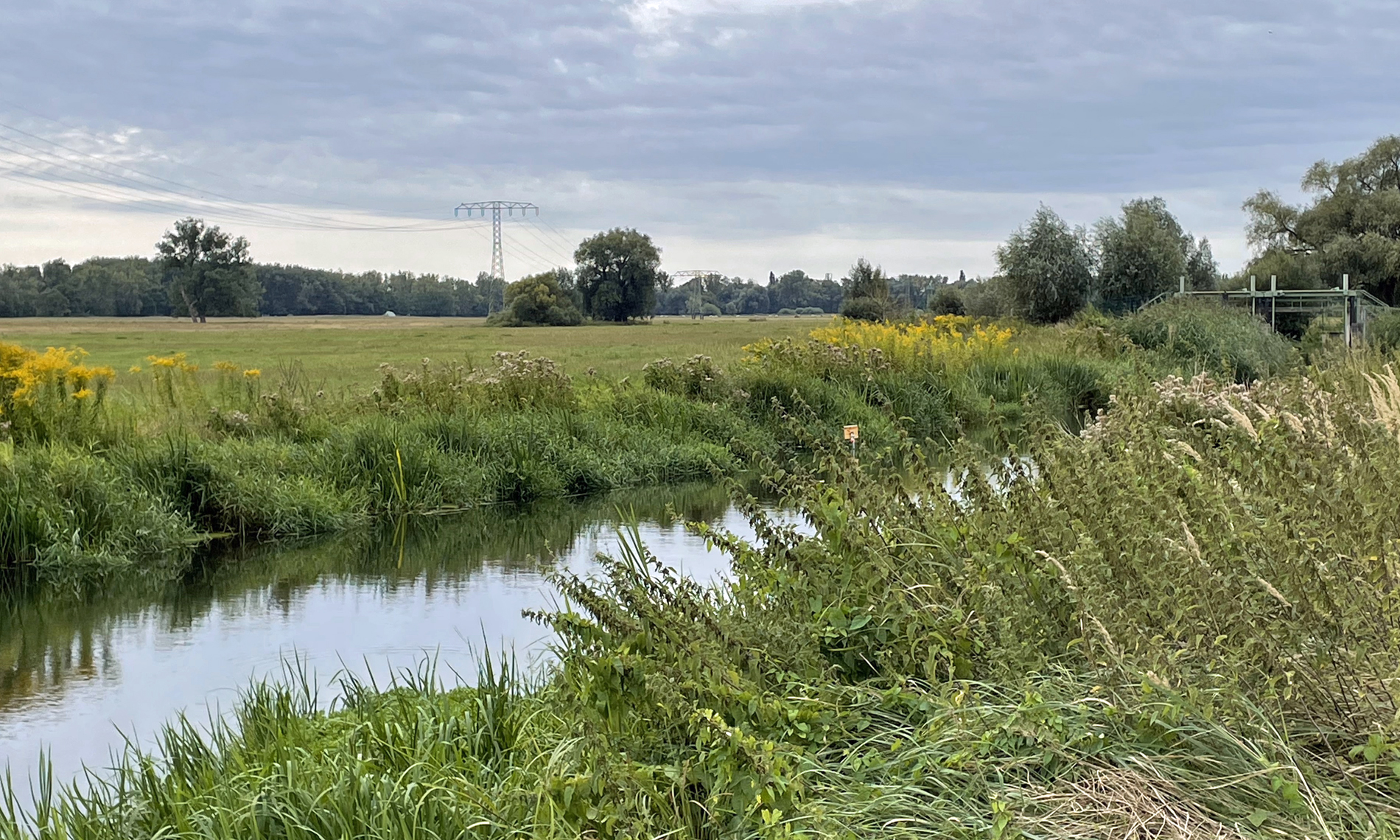 Auf dem Bild ist eine Flusslandschaft zu sehen